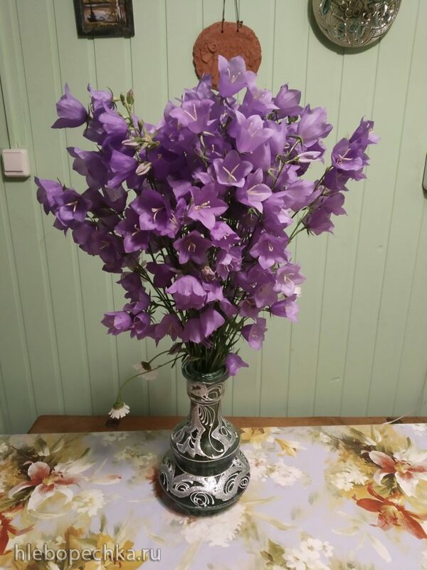 Чайная беседка