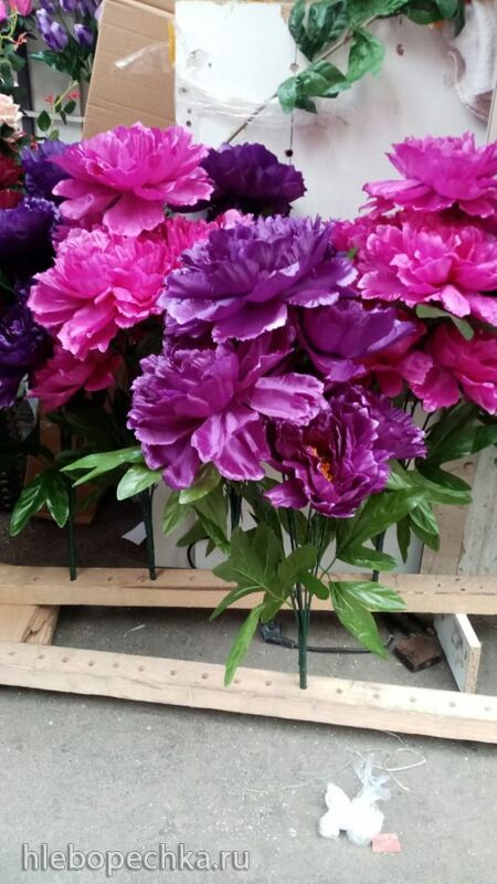 Чайная беседка