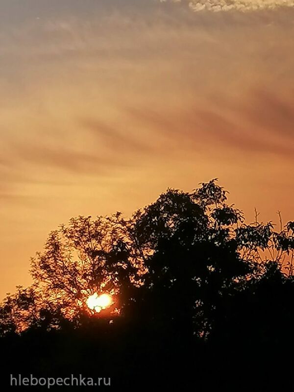 Чайная беседка