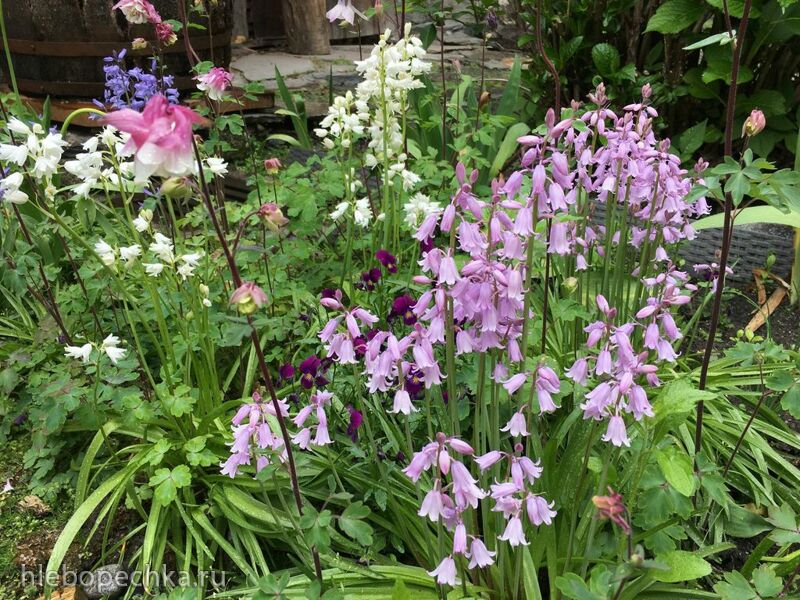 Чайная беседка