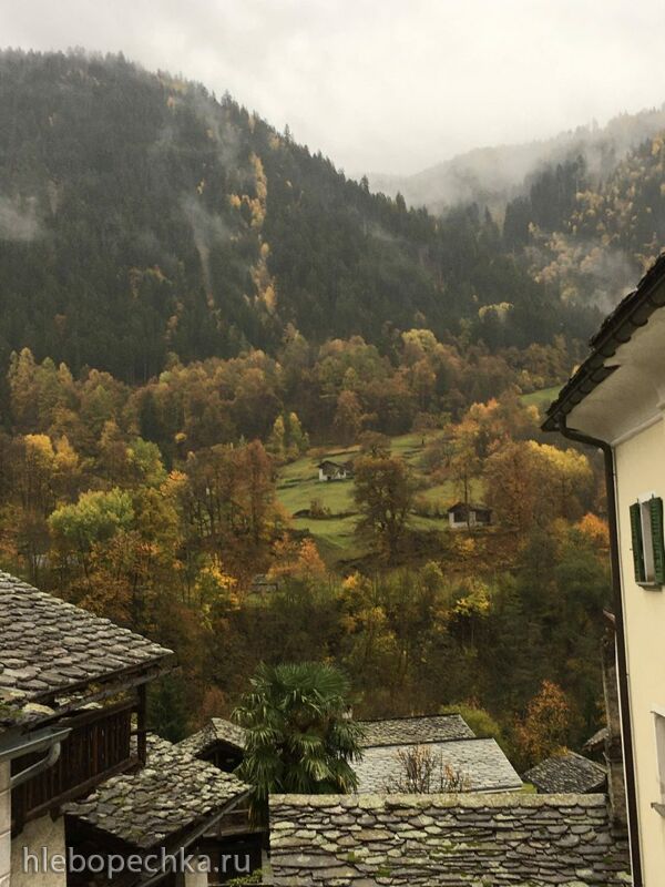 Чайная беседка