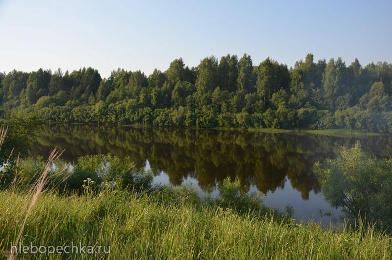 Каждый день не может быть хорошим, но есть что то хорошее в каждом дне (Э. Эрл)