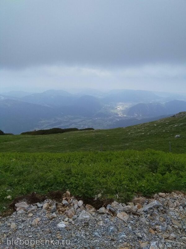 Чайная беседка