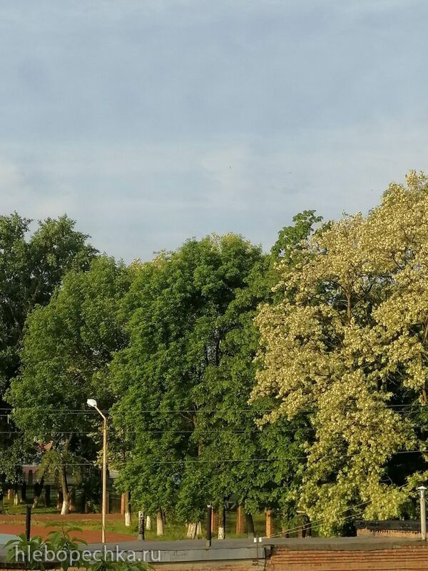 Чайная беседка