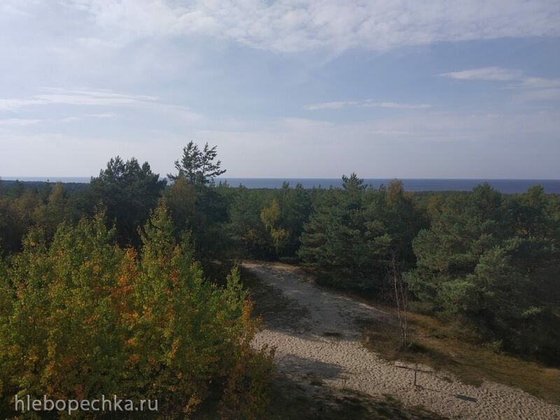 За кусочком солнца в ТриДевятое государство, или На Калининградчину летом