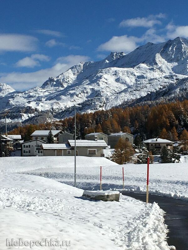 Чайная беседка