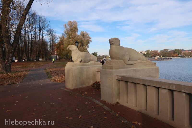 Ну здравствуй, Калининград! 35 лет спустя