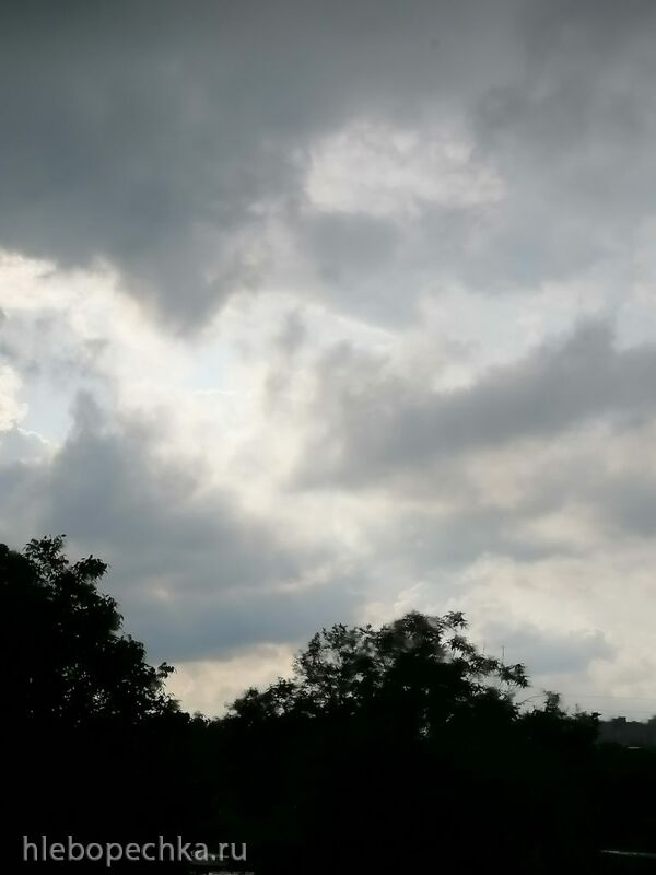 Чайная беседка