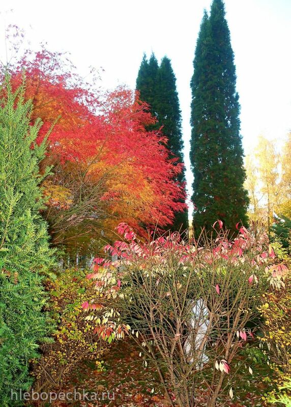 Ну здравствуй, Калининград! 35 лет спустя