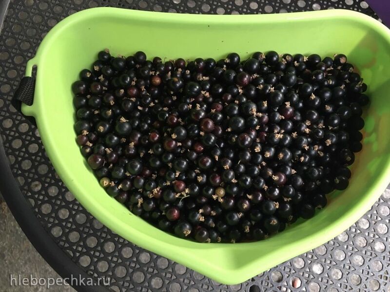 Чайная беседка