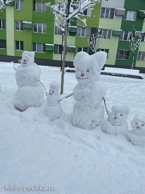 Чайная беседка