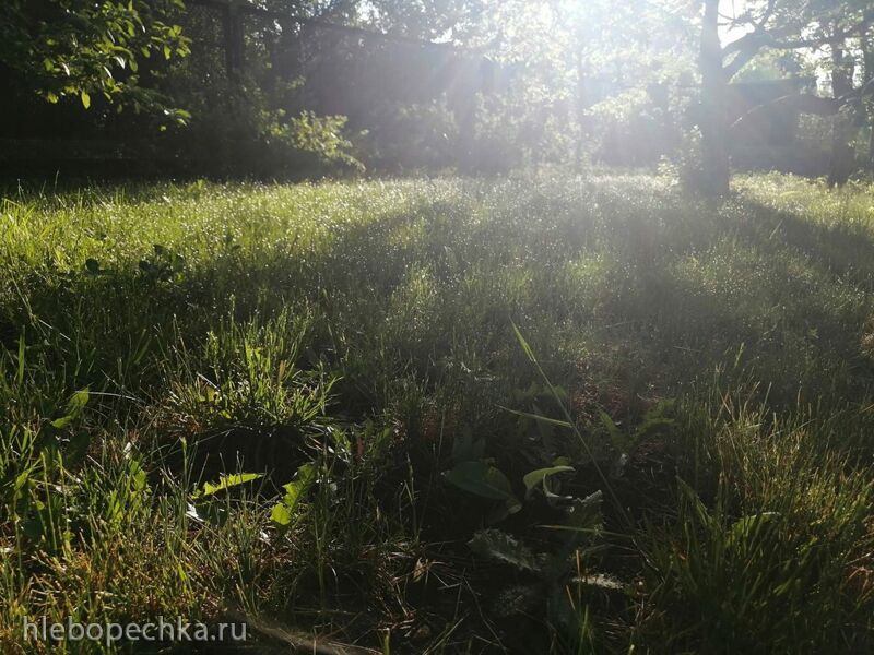 Чайная беседка