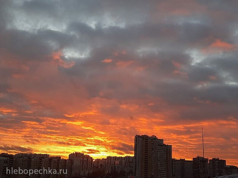 Такое разное небо