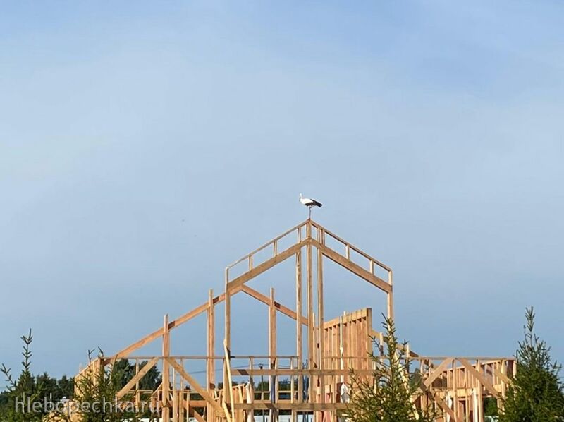 Tapтaлeтки & Ко