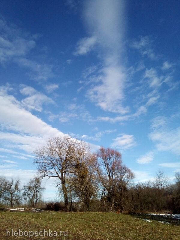 Чайная беседка