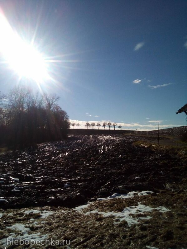 Чайная беседка