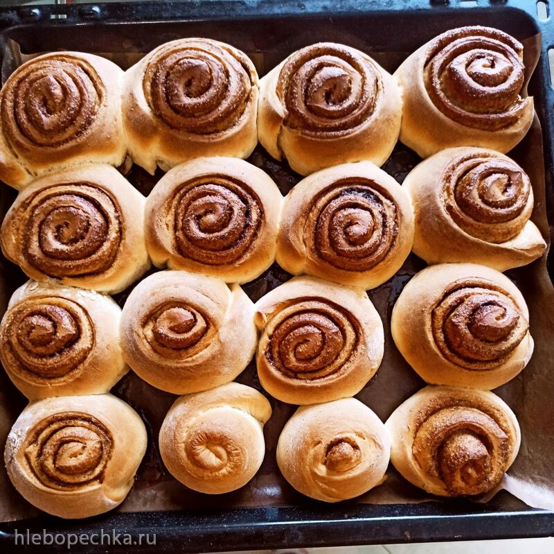 Tapтaлeтки & Ко