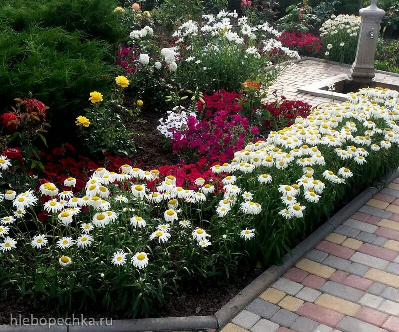 Чайная беседка