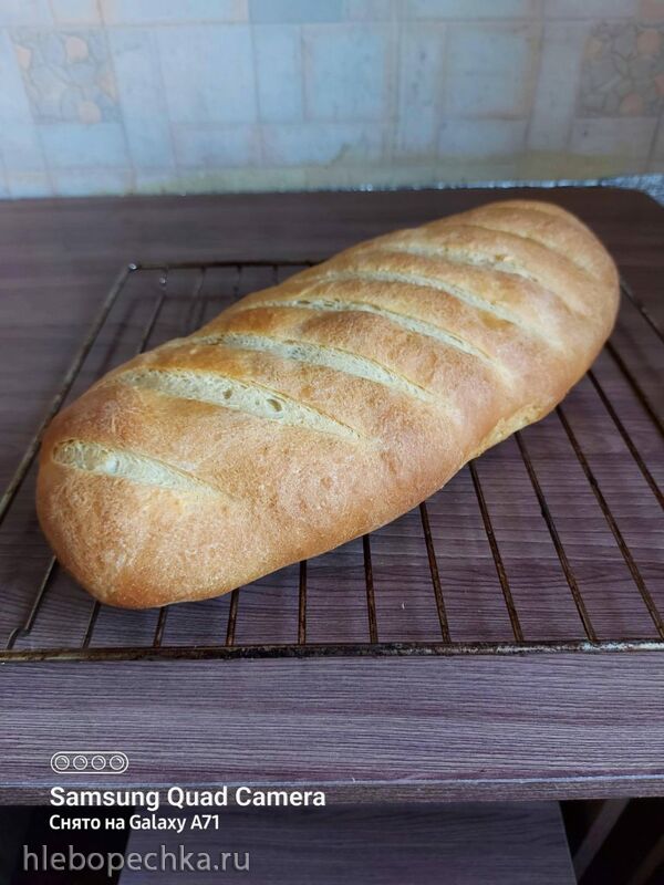 Tapтaлeтки & Ко