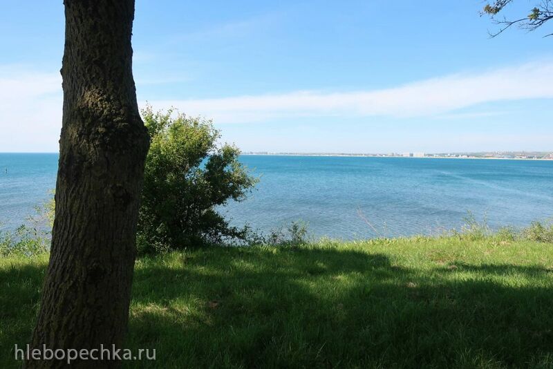 Чайная беседка