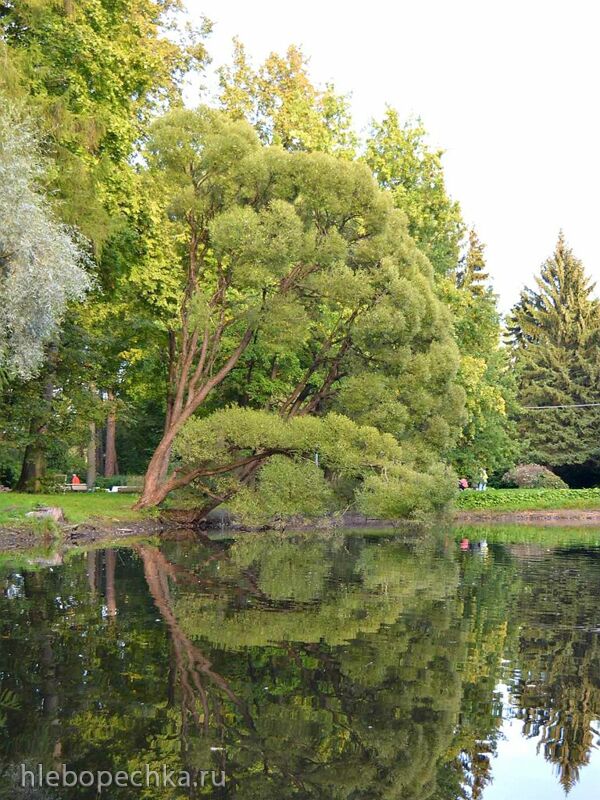 Чайная беседка