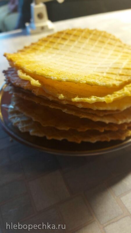 Tapтaлeтки & Ко