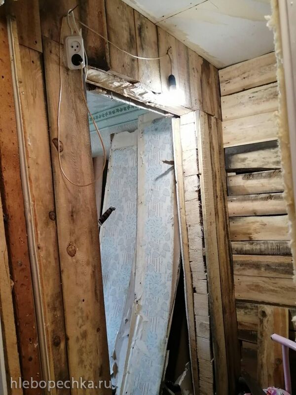 Tapтaлeтки & Ко