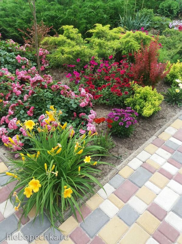 Чайная беседка