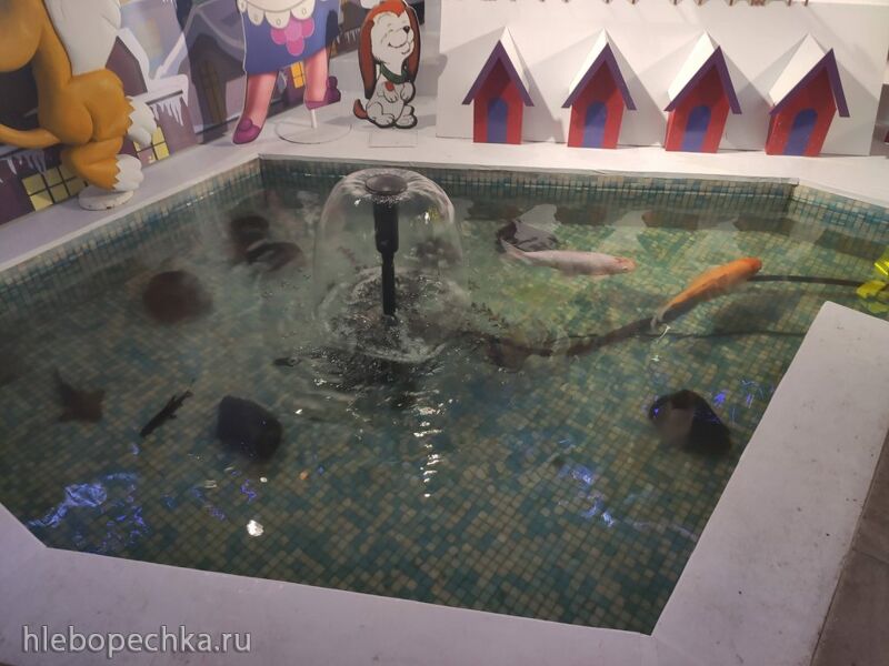 Кафе «У пани Сони»