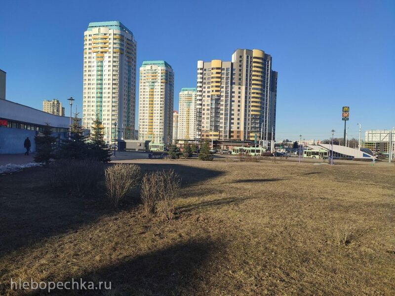 Кафе «У пани Сони»