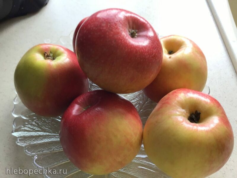 Где, что и когда купить в Москве