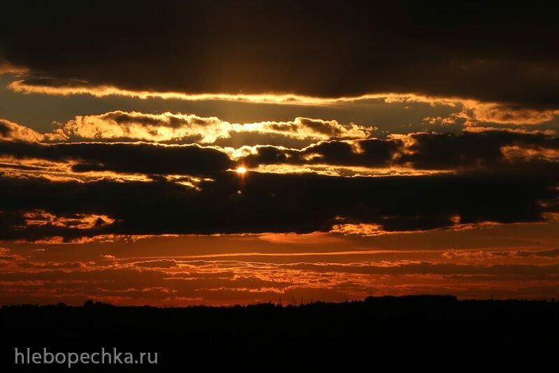 Чайная беседка