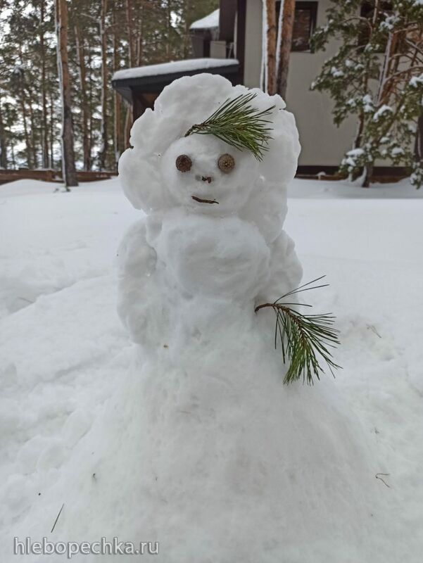 Чайная беседка