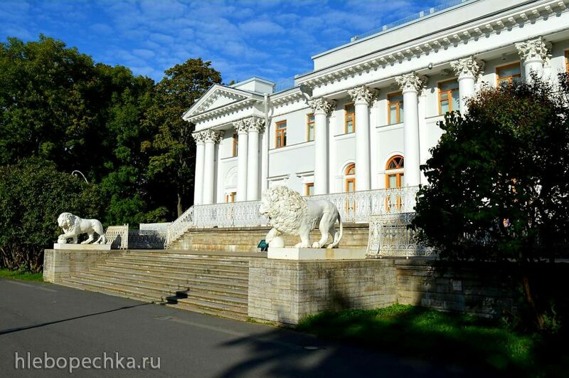 Чайная беседка