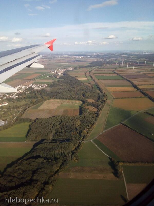 Чайная беседка