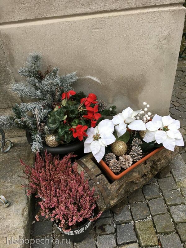 Чайная беседка