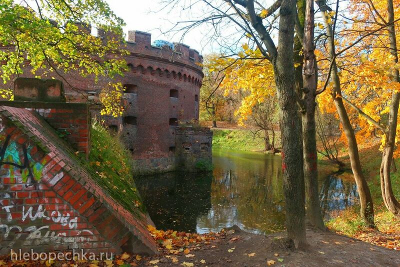 Ну здравствуй, Калининград! 35 лет спустя