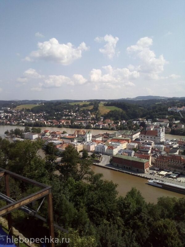 Tapтaлeтки & Ко