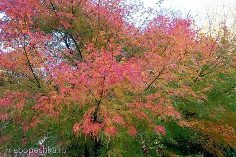 Ну здравствуй, Калининград! 35 лет спустя