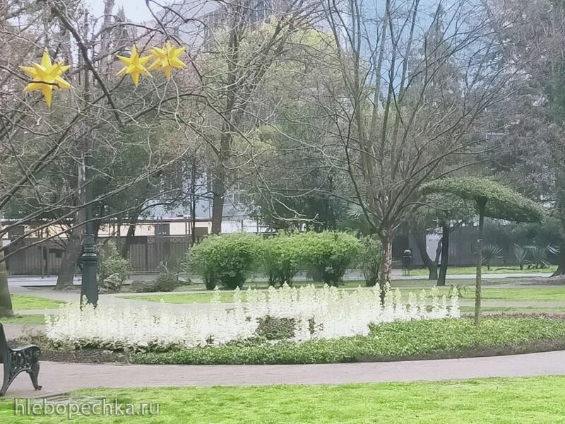 Tapтaлeтки & Ко