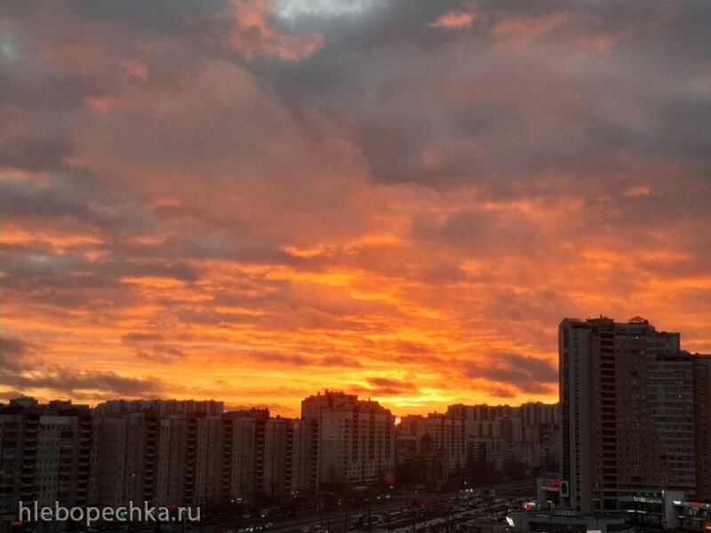 Такое разное небо