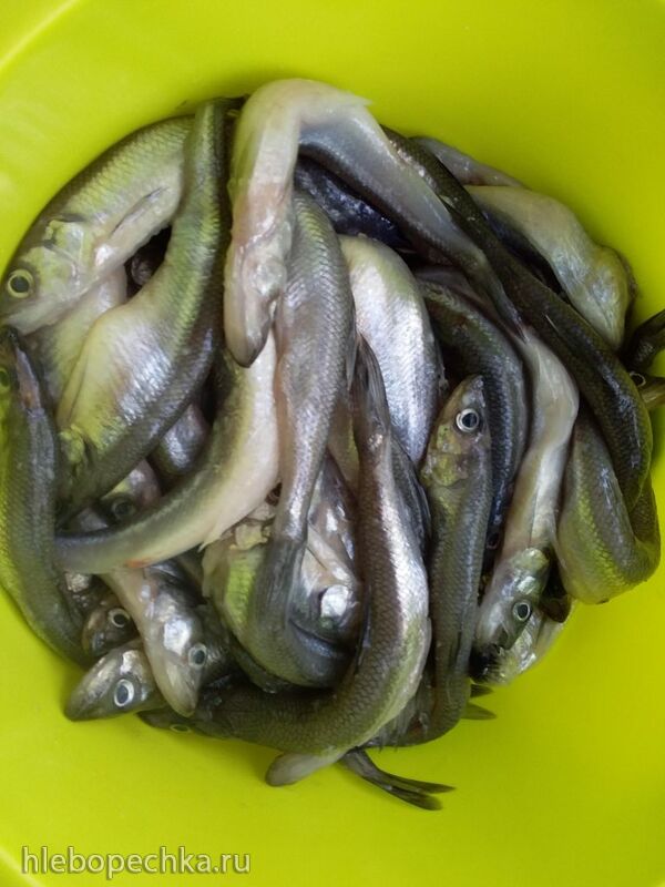 Что Вы сейчас едите? Фотоблог с вашего стола