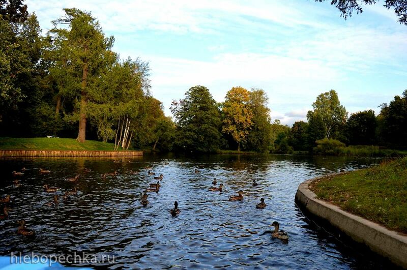 Чайная беседка
