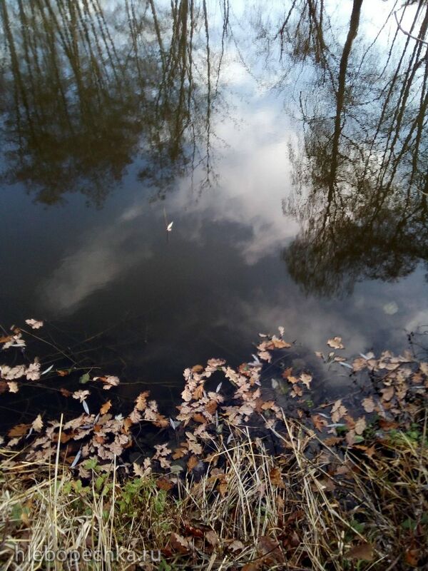 Чайная беседка