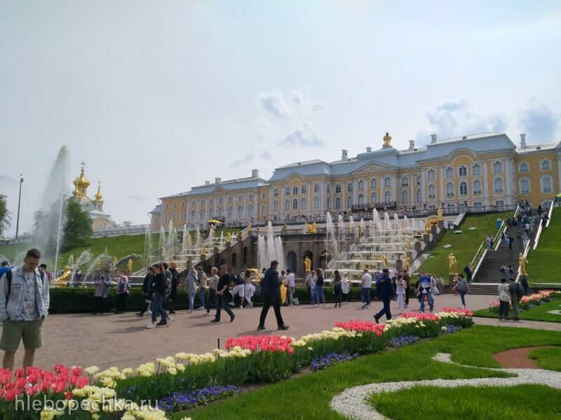 Tapтaлeтки & Ко