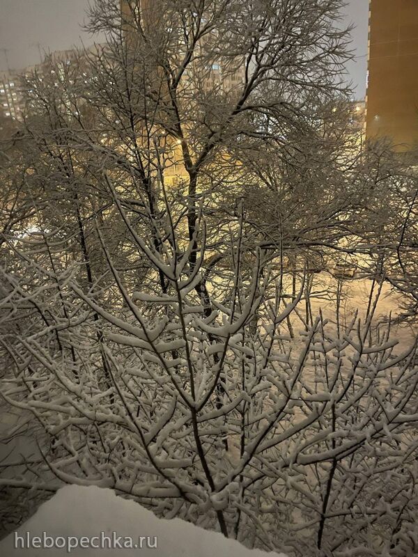 Tapтaлeтки & Ко