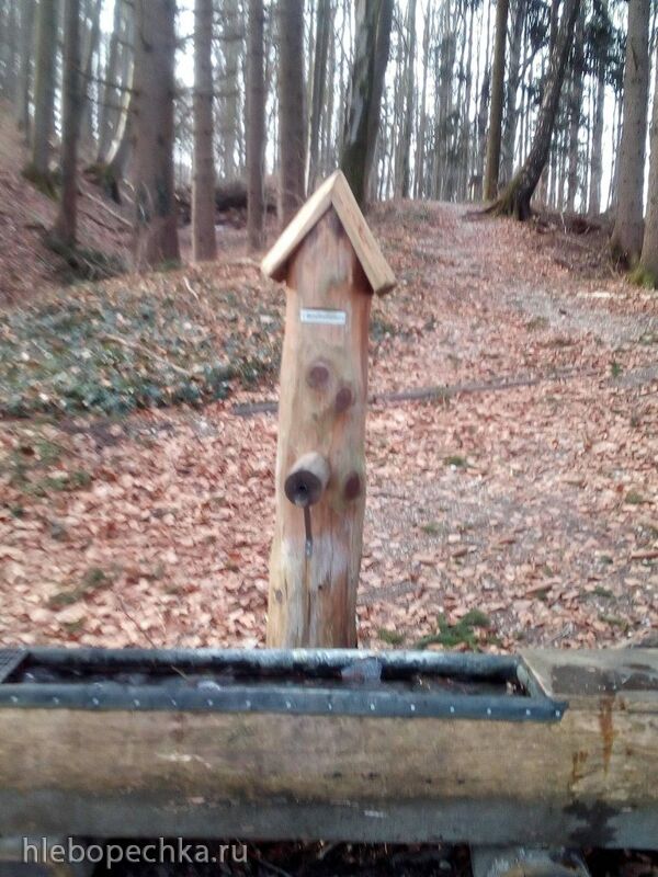 Чайная беседка