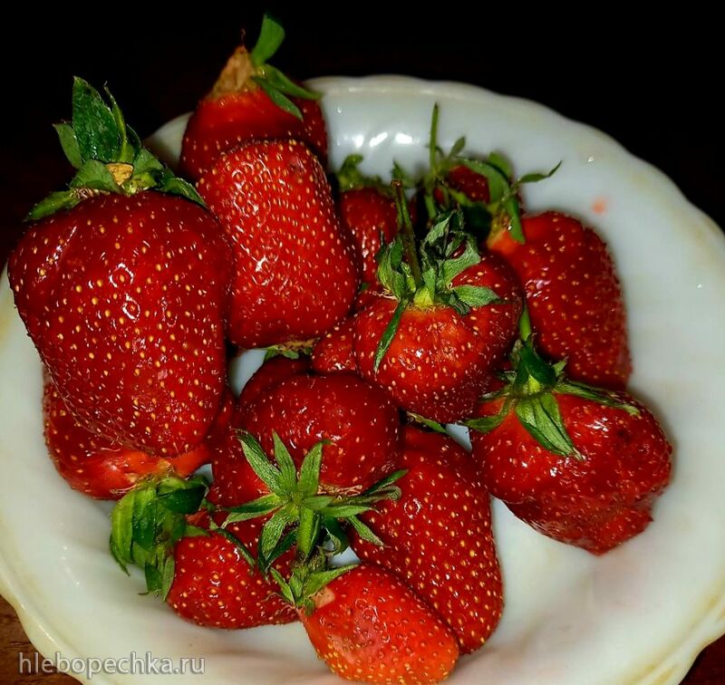 Чайная беседка