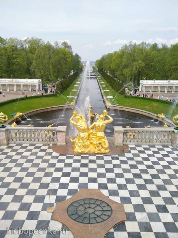 Tapтaлeтки & Ко