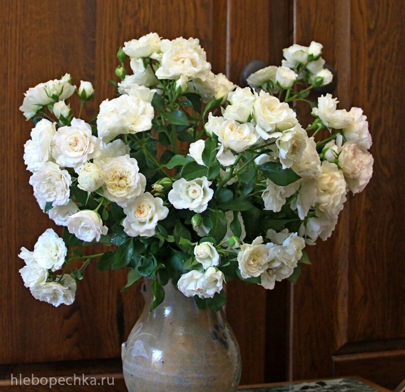 Чайная беседка